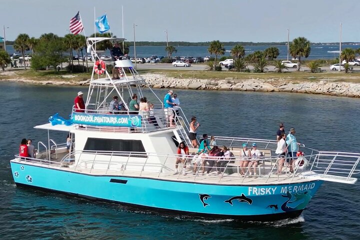 Dolphin & Sightseeing Cruise + Beach Stop + Snorkel + Equipment - Photo 1 of 10